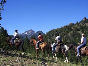 Horses in the Moutains