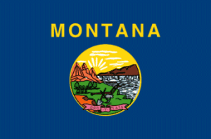 Montana State Flag