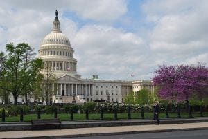 US Capitol in spring